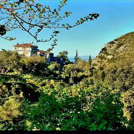 Villa Philoxenia *