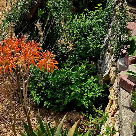 Villa Philoxenia Himare